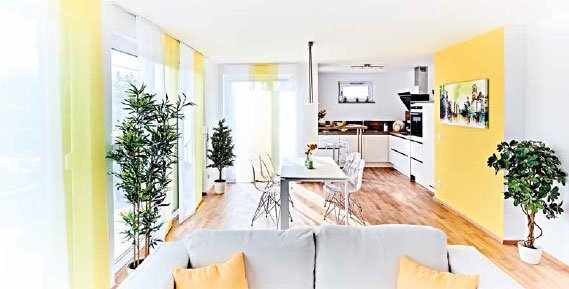Projekt Bellevue